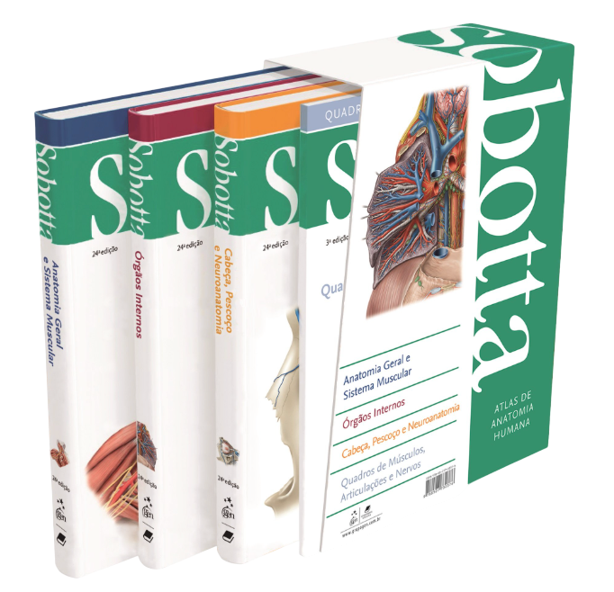 Captura de Tela 2025-07-25 às 11.26.29-Photoroom (1)