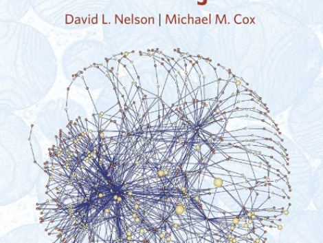 Captura de Tela 2025-07-27 às 18.12.35